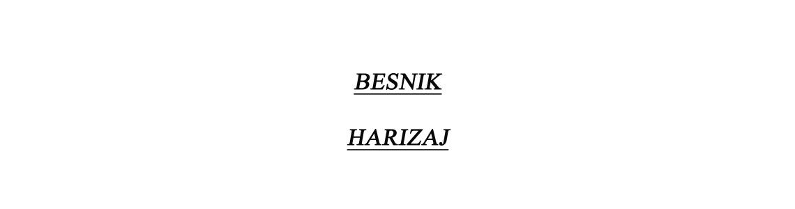 BESNIK HARIZAJ 