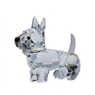 TERRIER FP