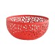 CACTUS FRUTTIERA ROSSA