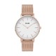 Boho Chic Mesh Rose Gold White u
