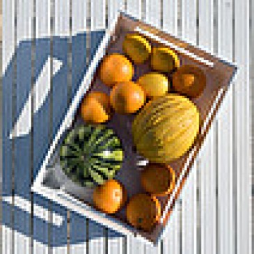 CASSETTA XL TIDY&STORE