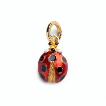 CHJARM COCCINELLA