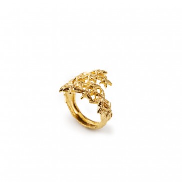 ANELLO GOLD MAREA IN LEGA IBG