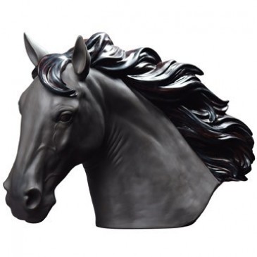 BUSTO CAVALLO