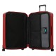 TROLLEY GRANDE RIGIDO 4 RUOTE