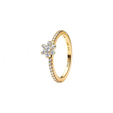 ANELLO FIORE LUMINOSO