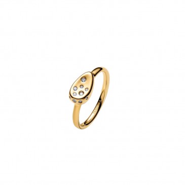 ANELLO SIGILLO PICCOLO CON PIETRE LUMINOSE