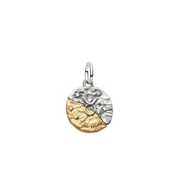 CHARM MEDALLION TORO