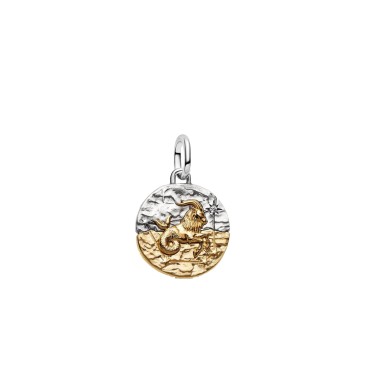 CHARM MEDALLION CAPRICORNO