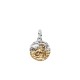 CHARM MEDALLION CAPRICORNO