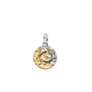 CHARM MEDALLION PESCI