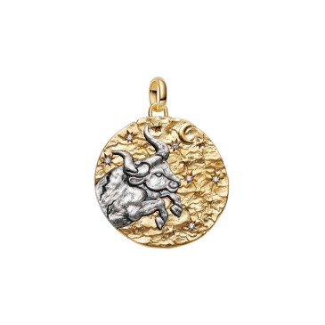 CHARM MEDALLION XL TORO 