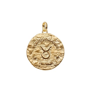 CHARM MEDALLION XL TORO 