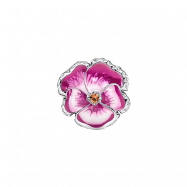 VIOLA DEL PENSIERO ROSA