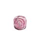 CHARM ROSA