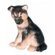 ALSATIAN 1020754