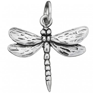 CHARM LIBELLULA