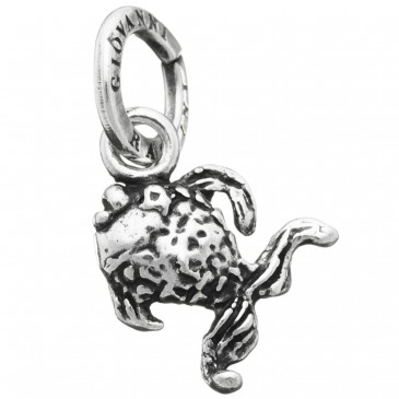 CHARM PESCIOLINO