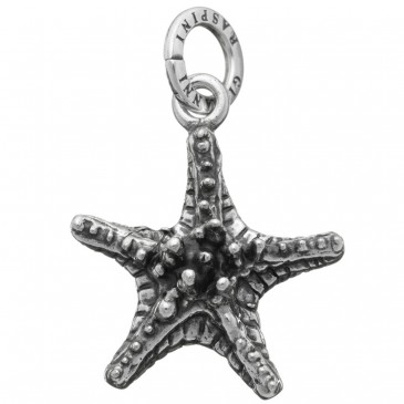 CHARM STELLA GRASSA
