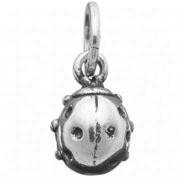 CHARM COCCINELLA