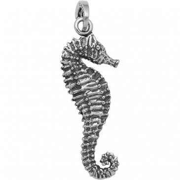 CHARM IPPOCAMPO