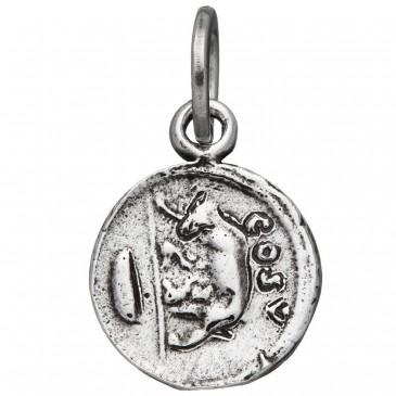 CHARM LUPA