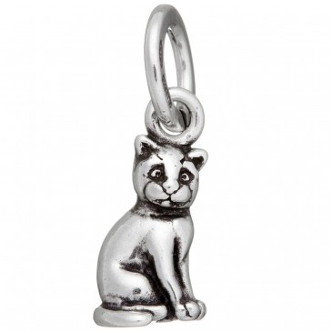 CHARM GATTO