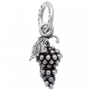 CHARM UVA