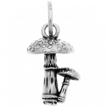 CHARM FUNGHI