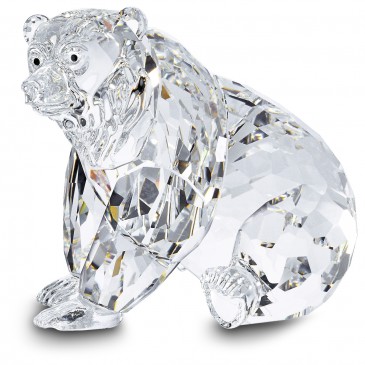 ORSO GRIZZLY