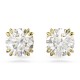 CONSTELLA PE STUD RD WHITE GOS CONSTELLA PE STUD RD WHITE GOS