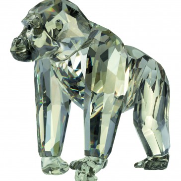 EDIZIONE ANNUALE 2009 GORILLA
