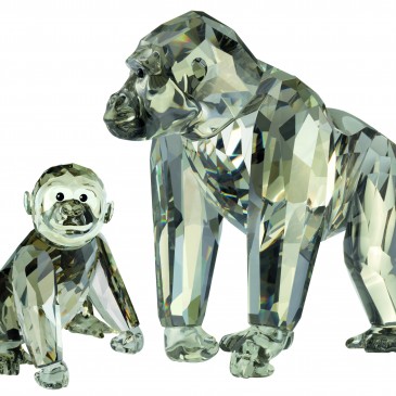 EDIZIONE ANNUALE 2009 GORILLA