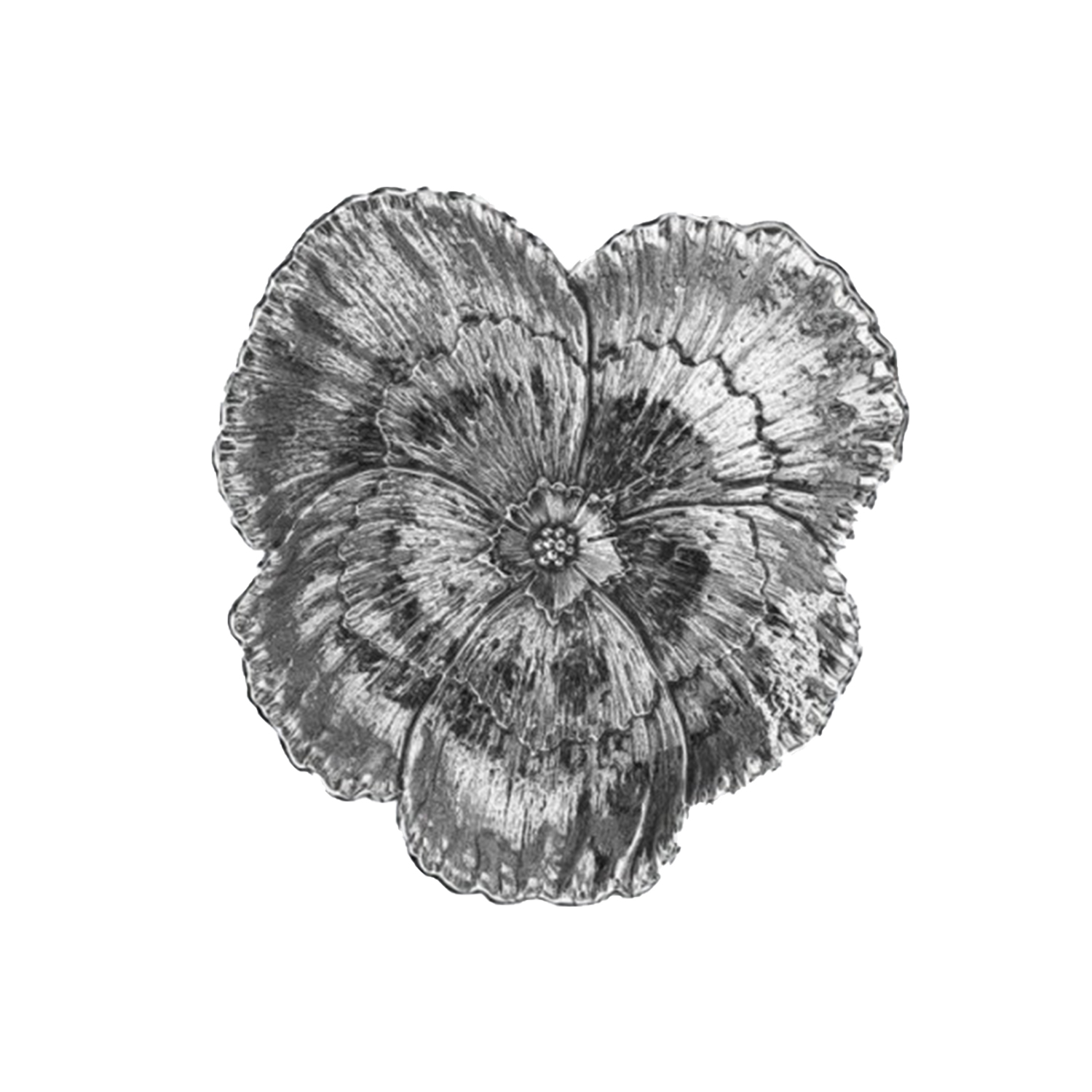 FIORE VIOLA 1 MIS  GR 36