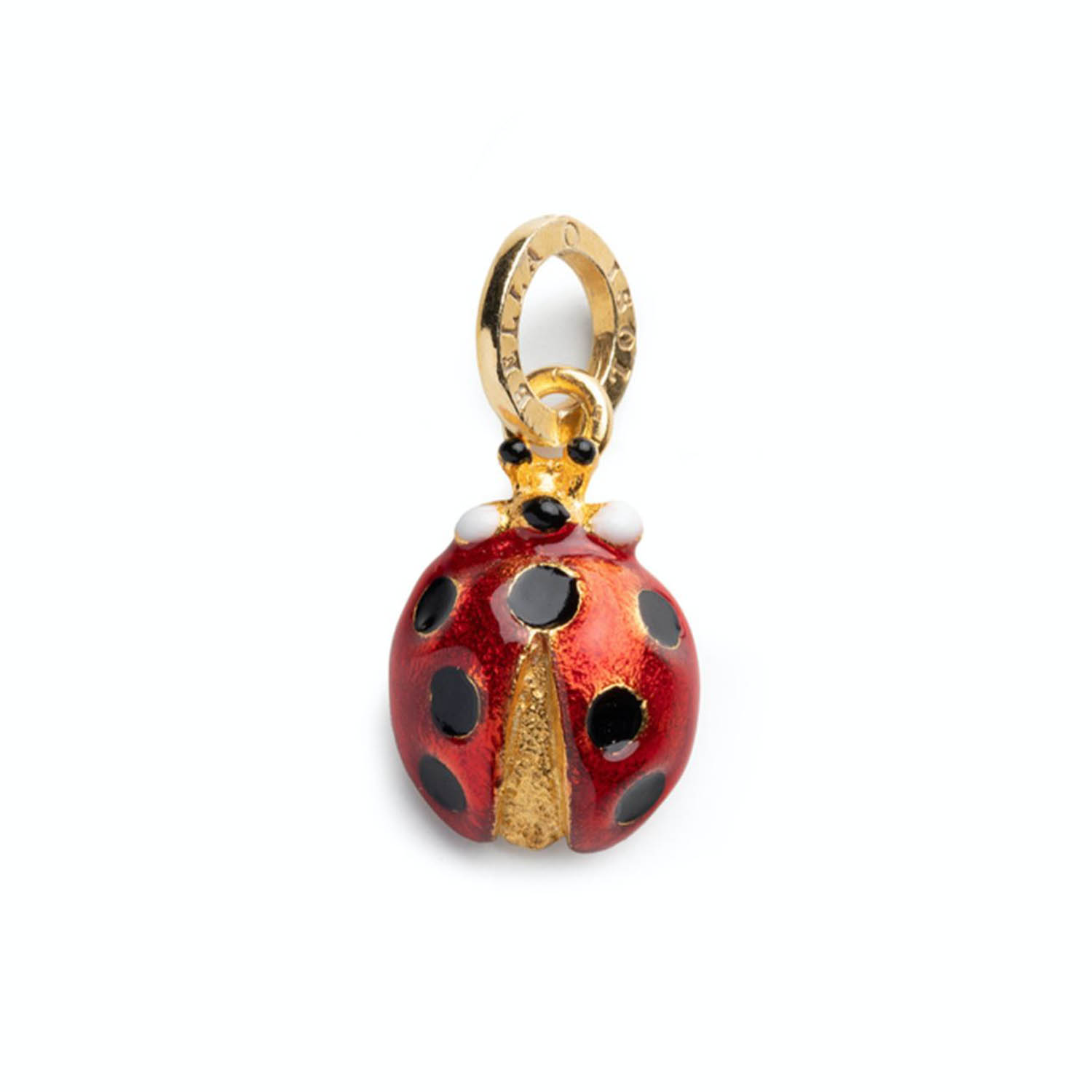 CHJARM COCCINELLA