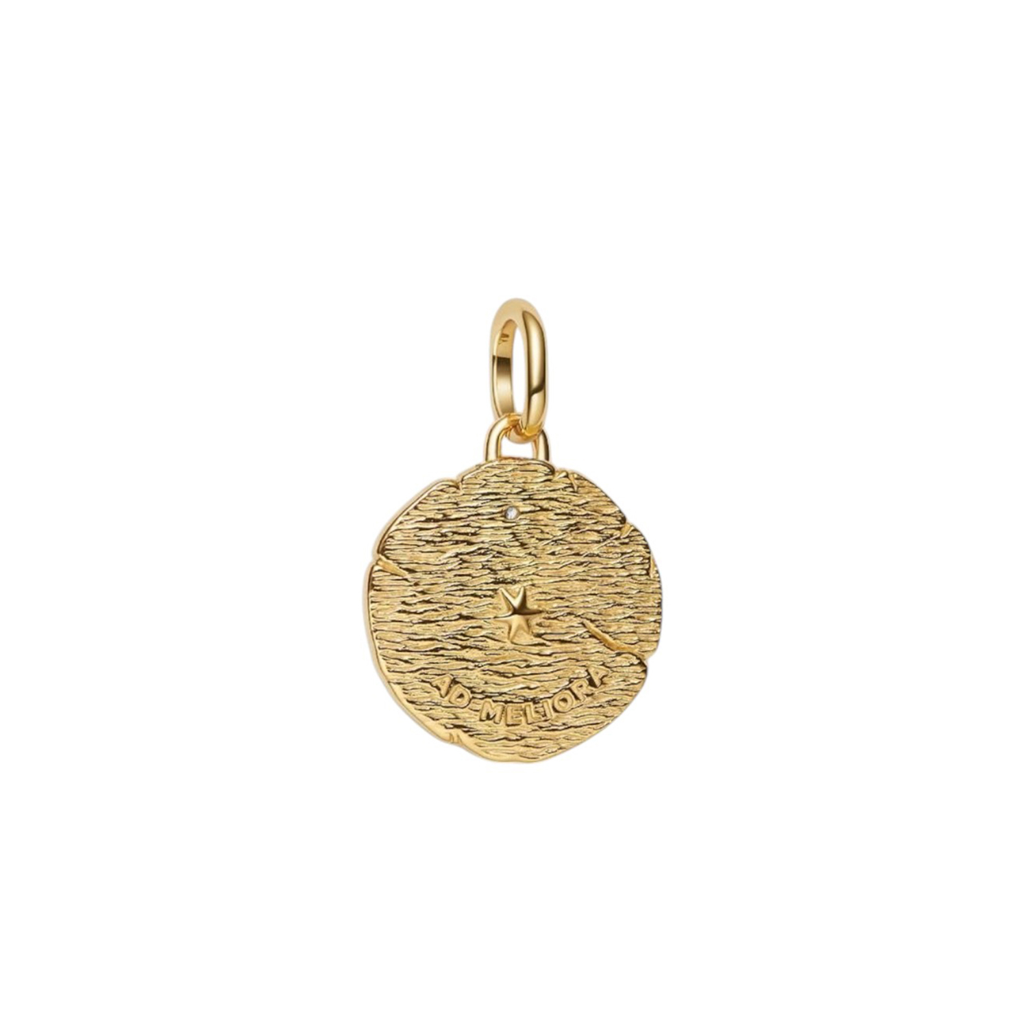 MEDALLION FRECCE 