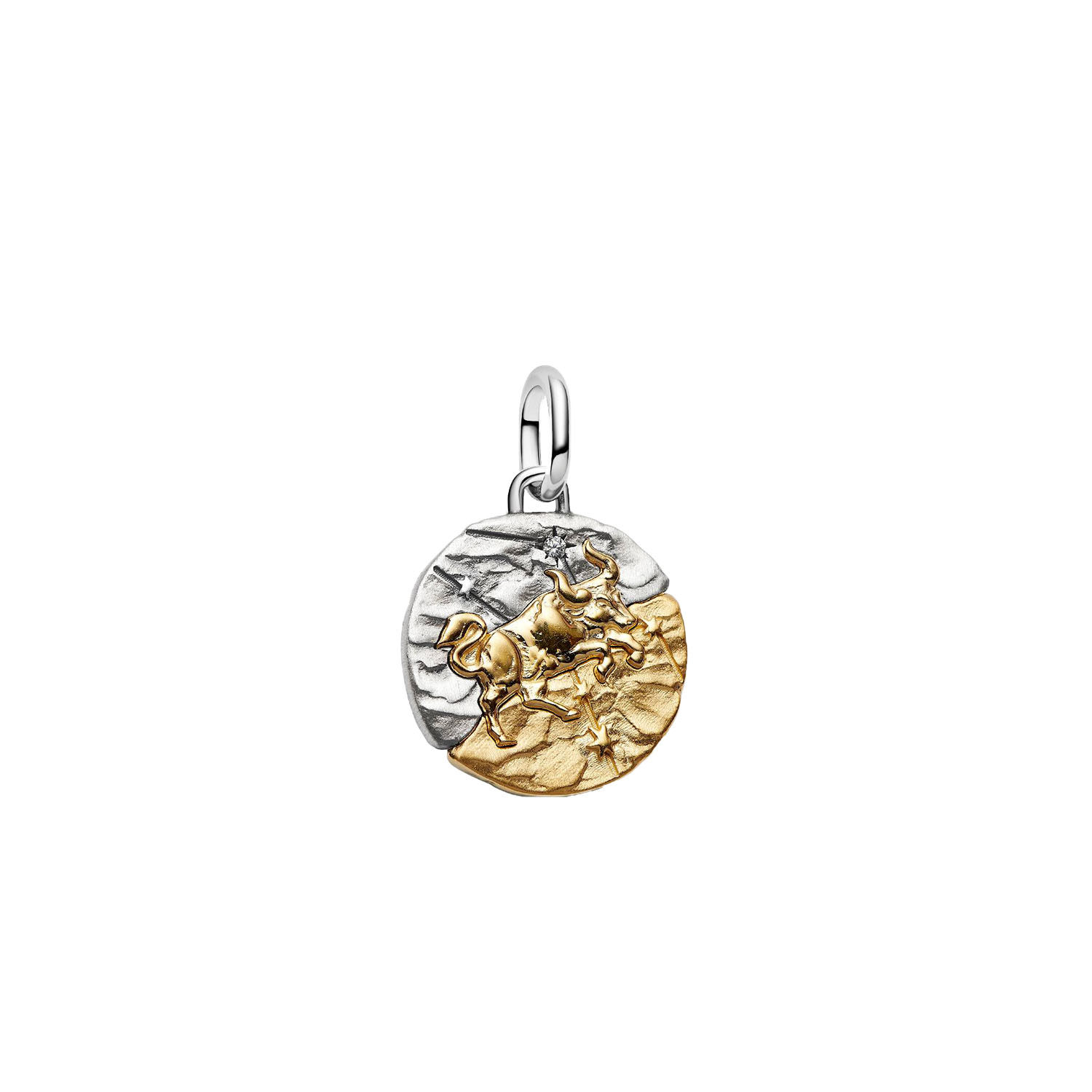 CHARM MEDALLION TORO