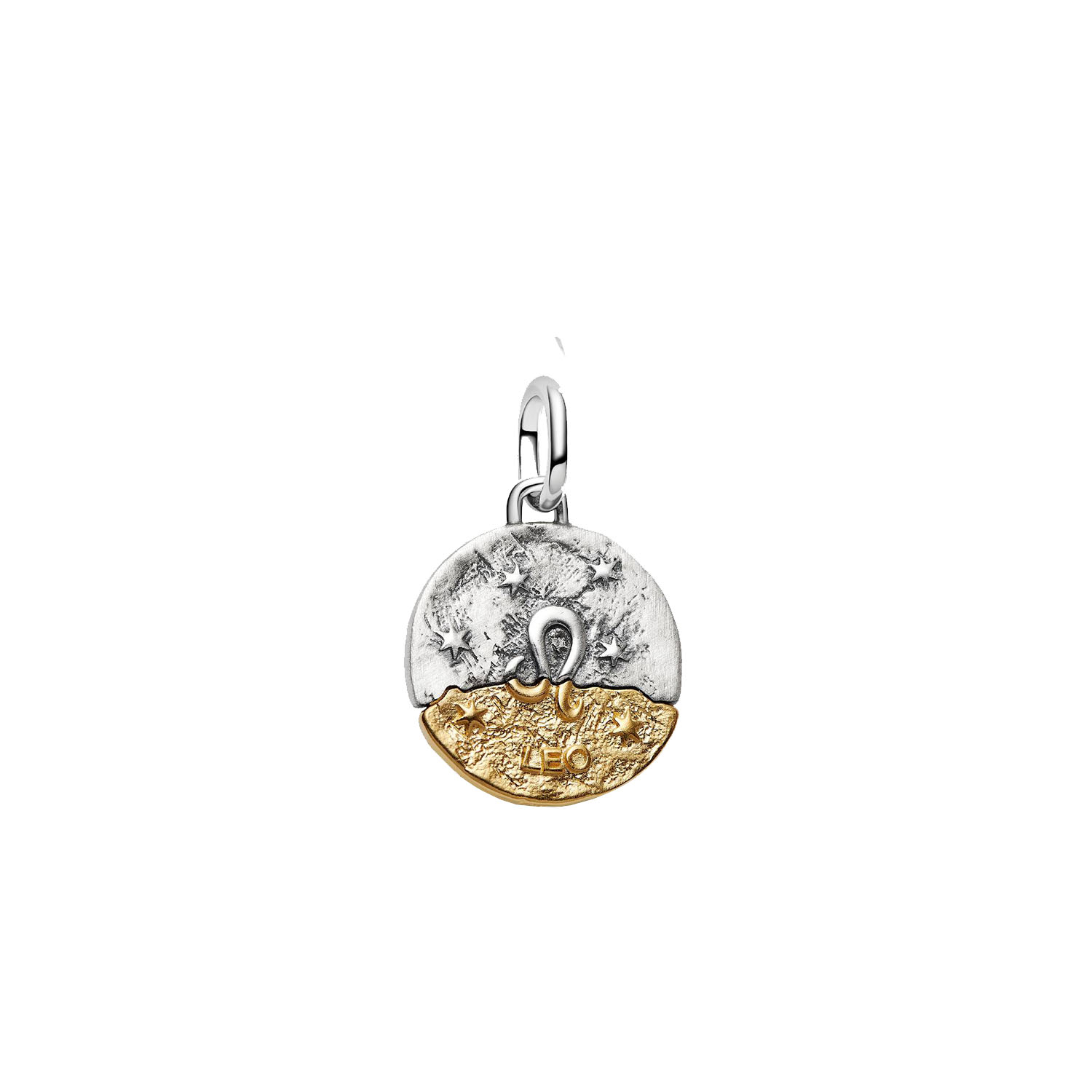CHARM MEDALLION LEONE
