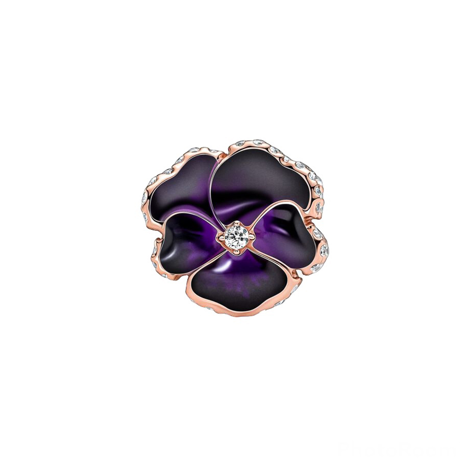 VIOLA DEL PENSIERO