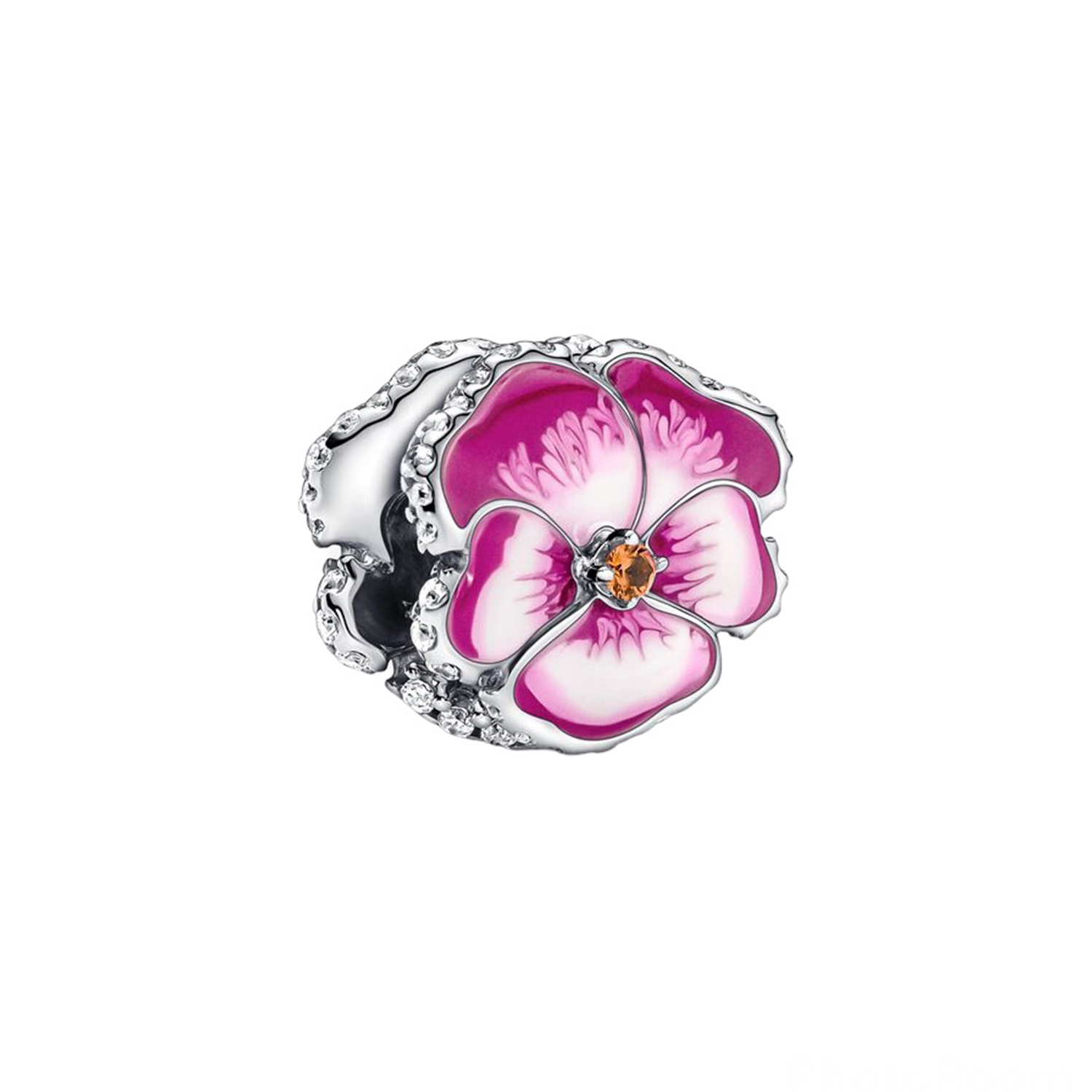 VIOLA DEL PENSIERO ROSA
