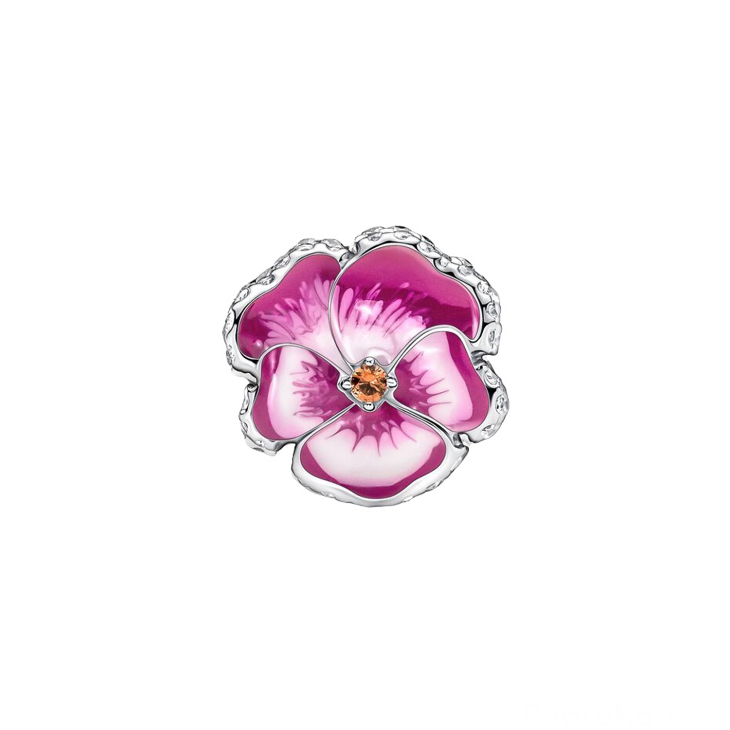 VIOLA DEL PENSIERO ROSA