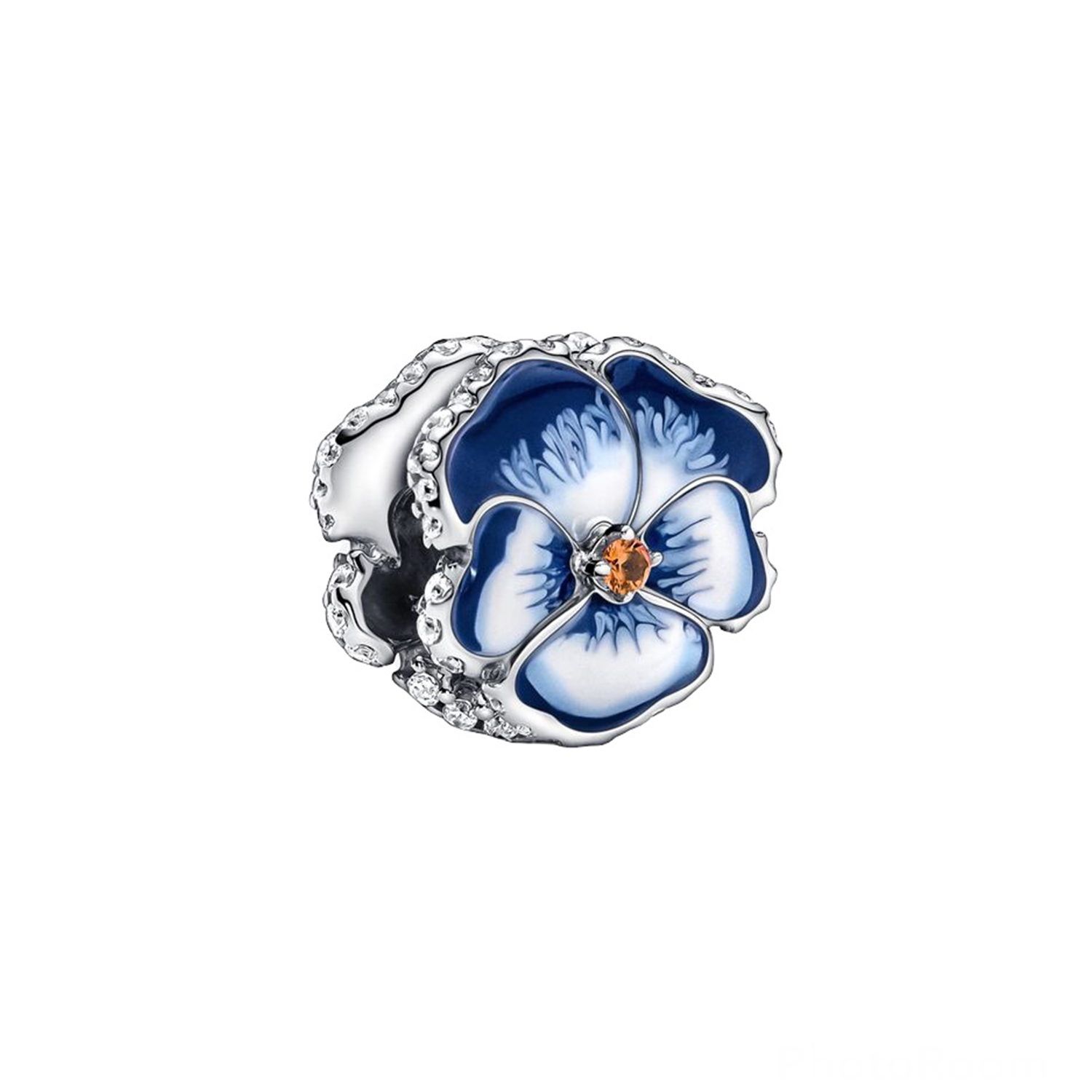 VIOLA DEL PENSIERO BLU