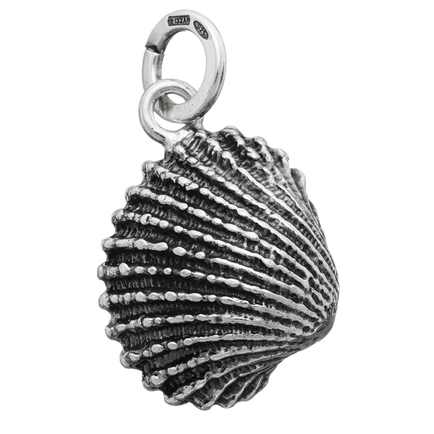 CHARM CONCHIGLIA