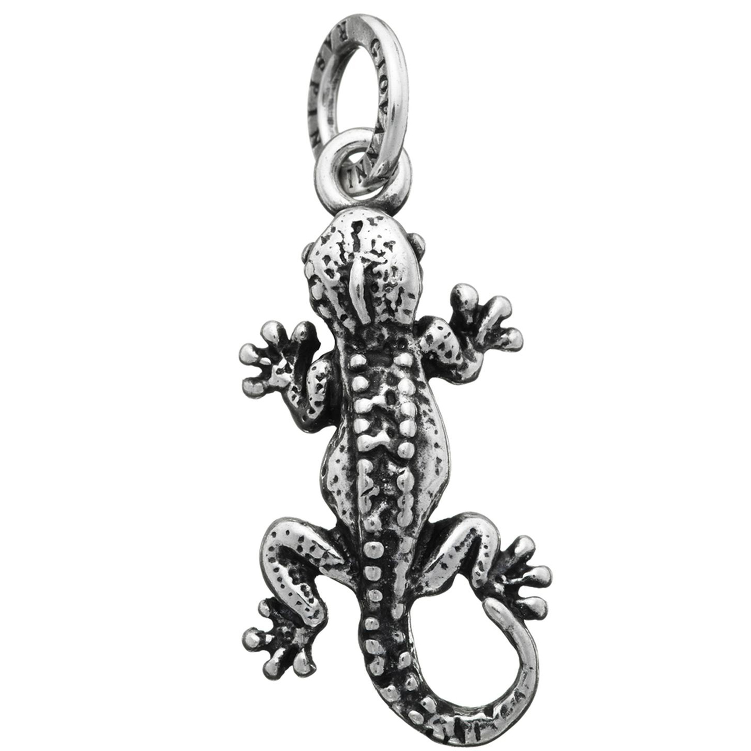 CHARM GECO
