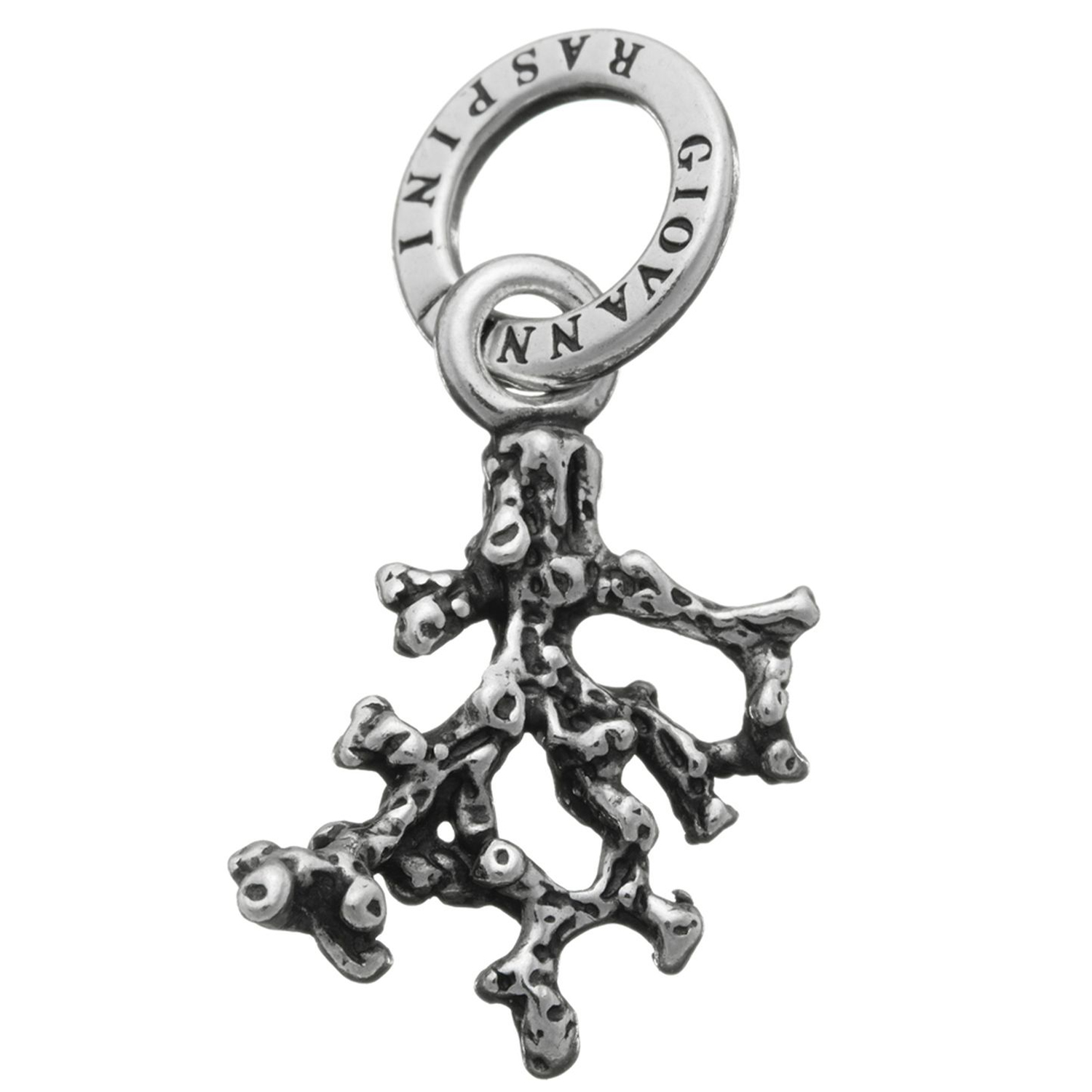 CHARM CORALLINO