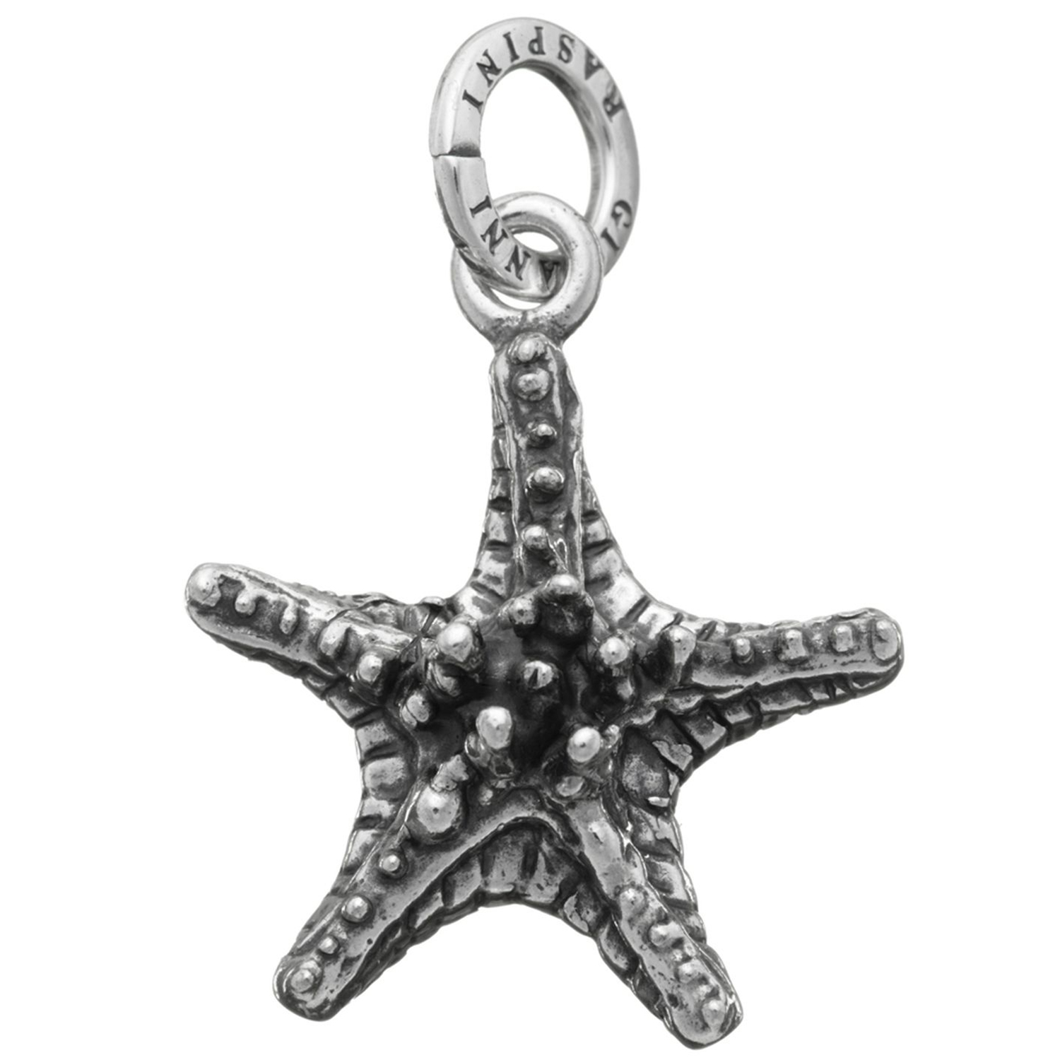 CHARM STELLA GRASSA