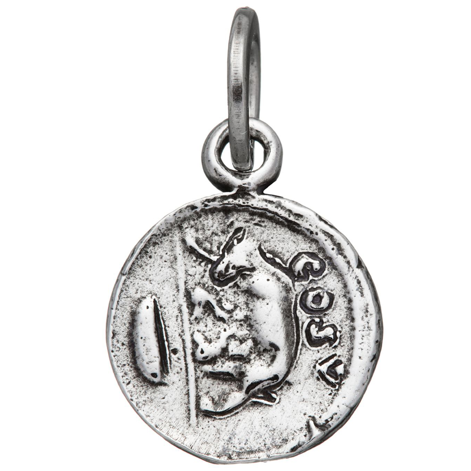 CHARM LUPA