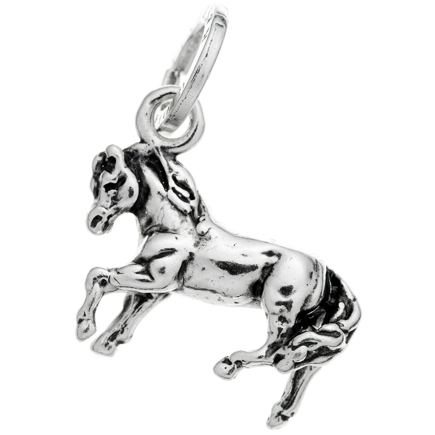 CHARM CAVALLO