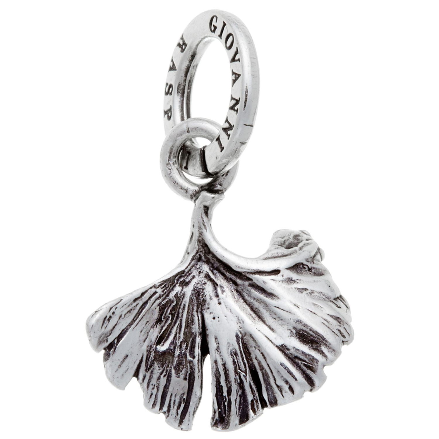 CHARM FOGLIA GINKGO