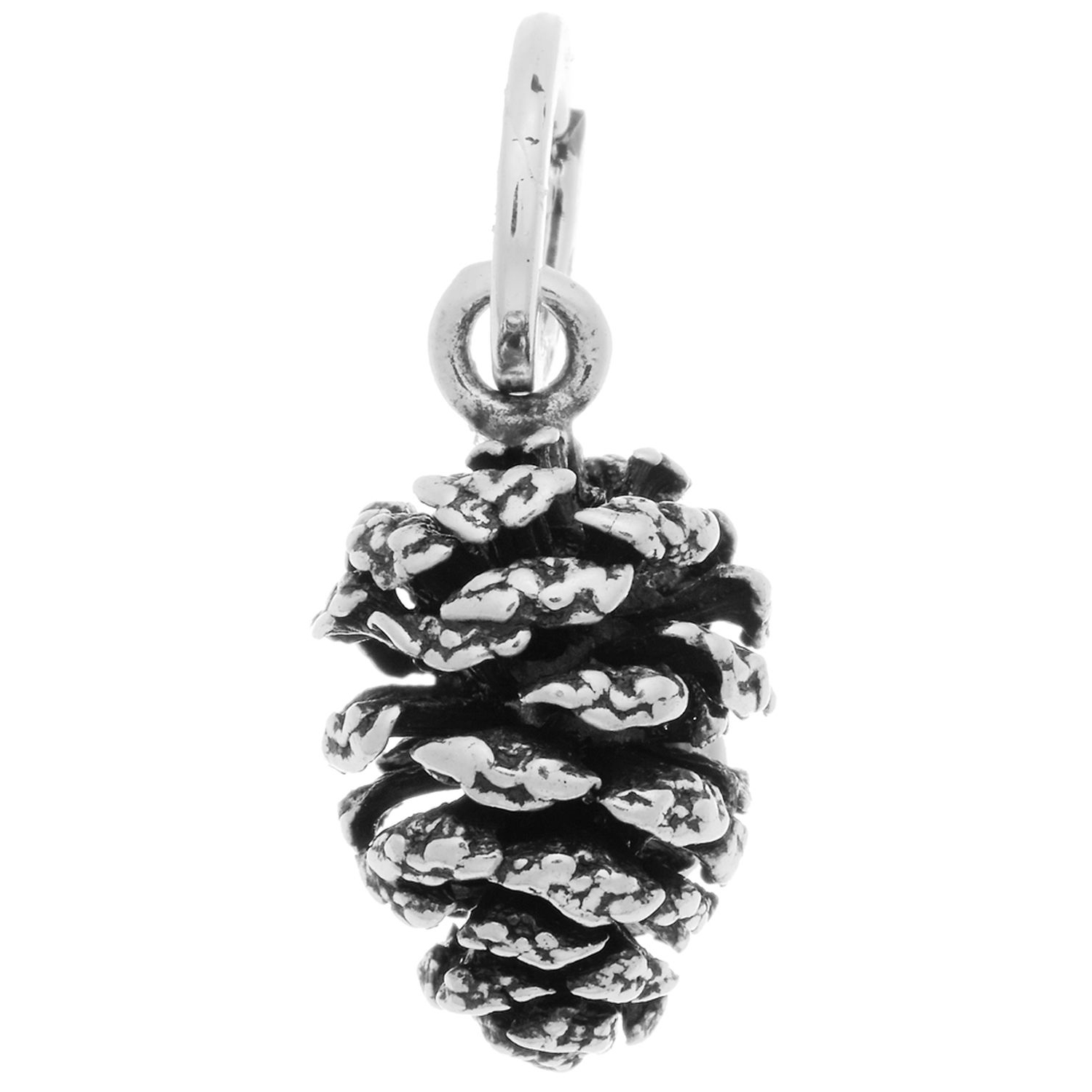 Charm Raspini Pigna